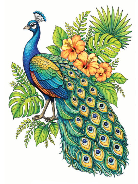 20 Colourful Birds of the World Colouring Book Volume 1 Digital Download