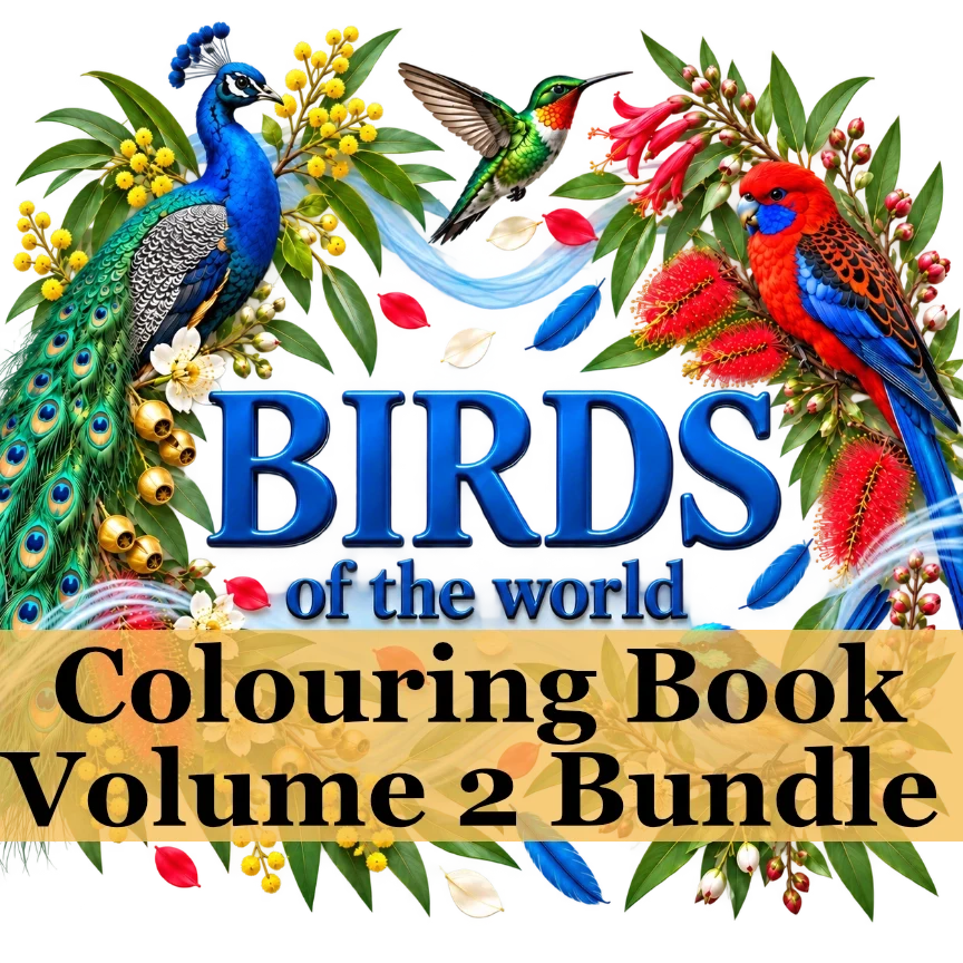 1 Bundle: Colourful Birds 2