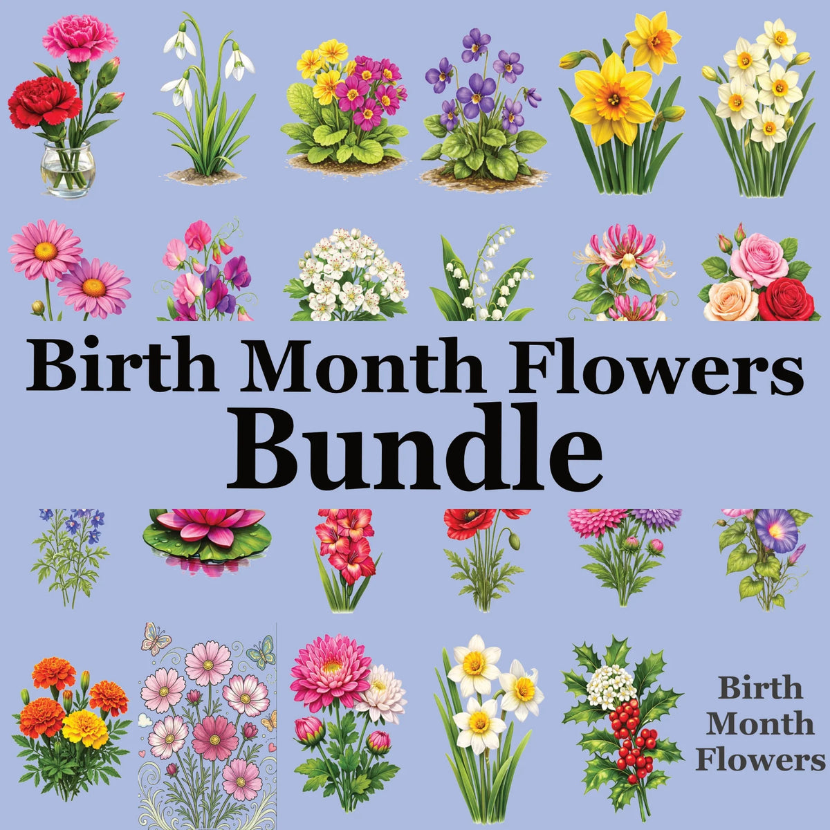 4 Bundle: Birth Month Flowers