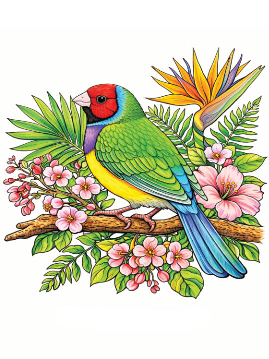 20 Colourful Birds of the World - Volume 1
