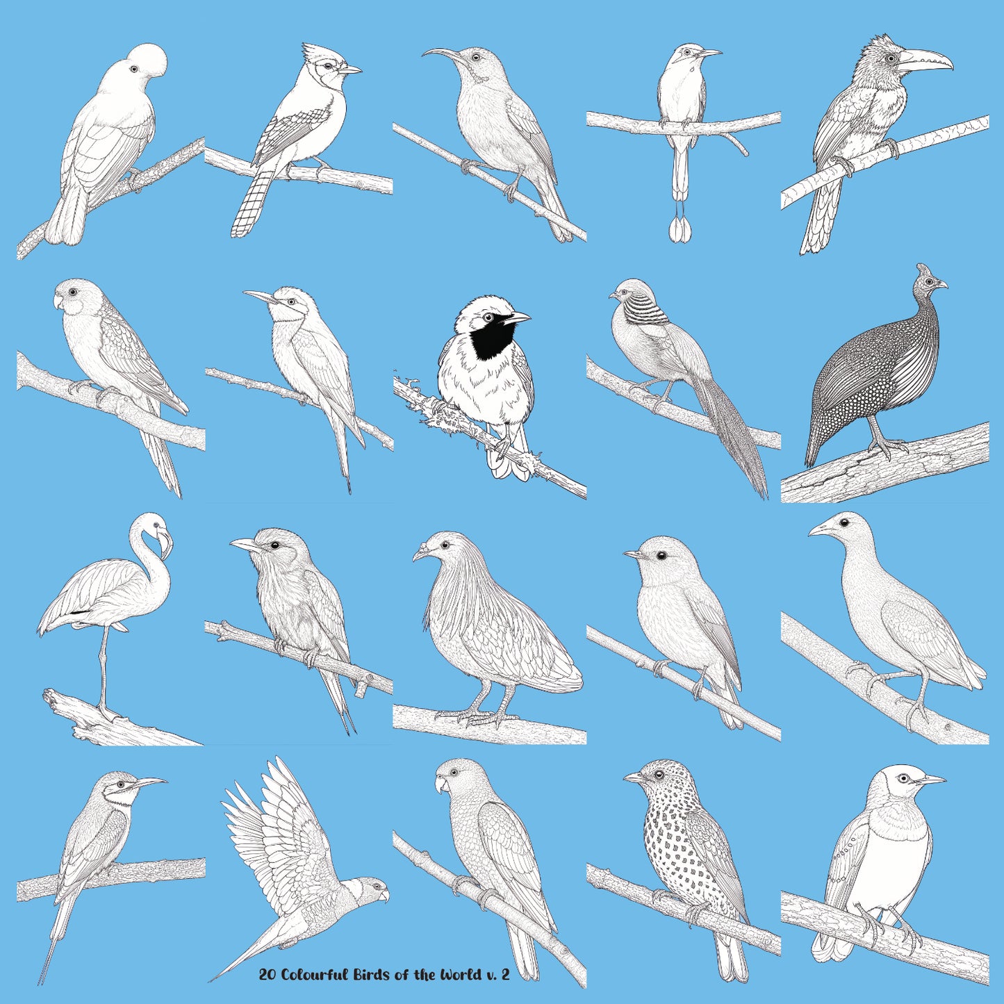 20 Colourful Birds of the World v 2 Wall Art Greyscale Print-36x36x300