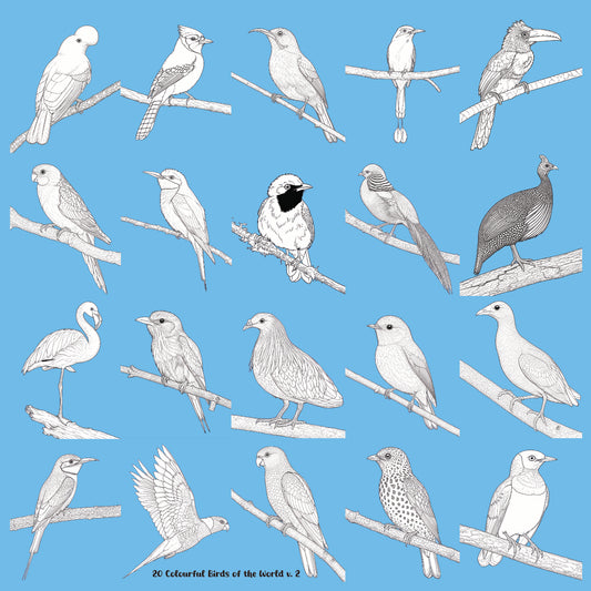 20 Colourful Birds of the World v 2 Wall Art Greyscale Print-36x36x300