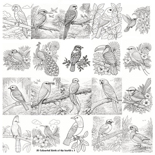 20 Colourful Birds of the World v 1 Wall Art Greyscale Print-36x36x300