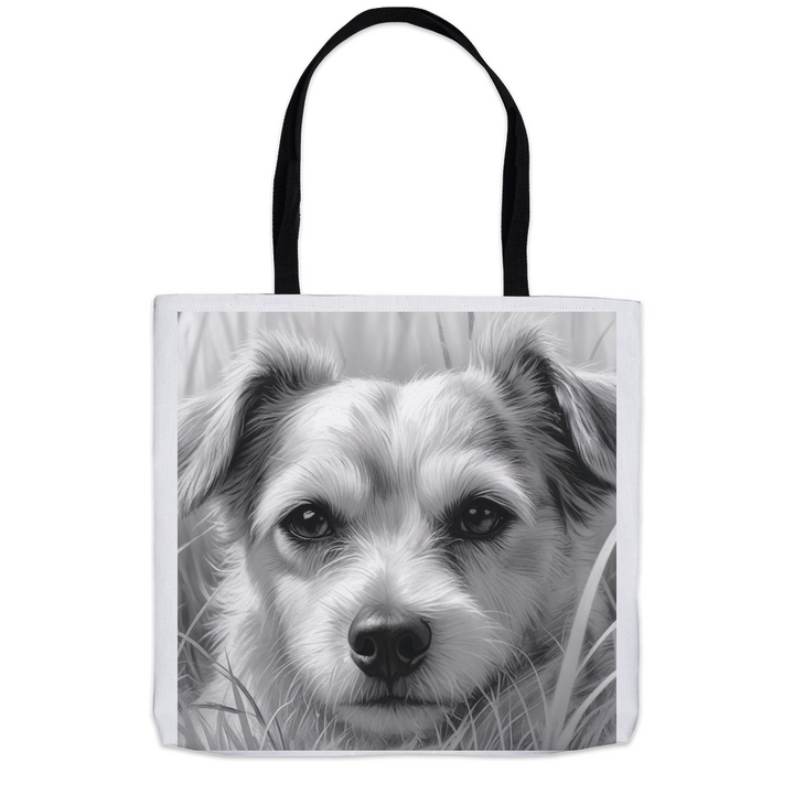 EverythingBag-20250830063711374