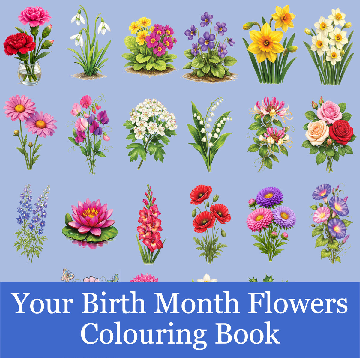 Your Birth Month Flowers Colouring Book