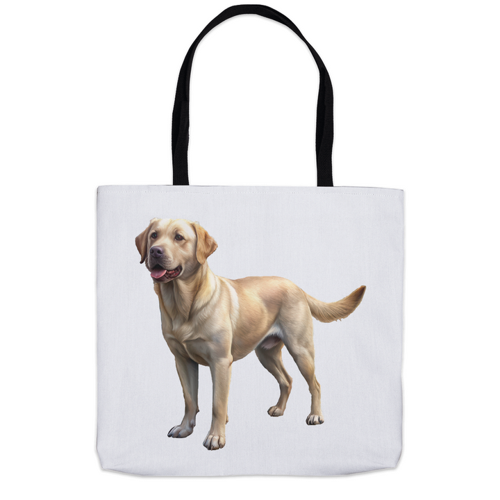 EverythingBag-20250424124955221