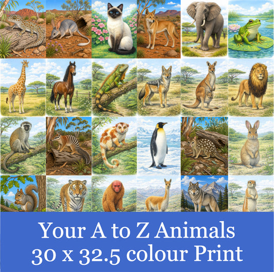 Your A to Z Animals 30x32.5-inch Colour Wall Art Poster/Print