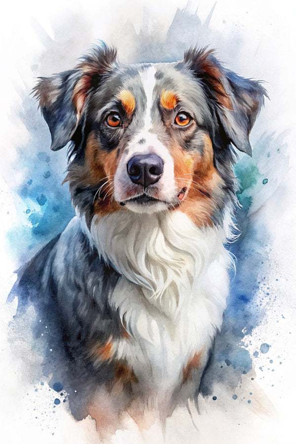 Border Collie 1 Poster Print