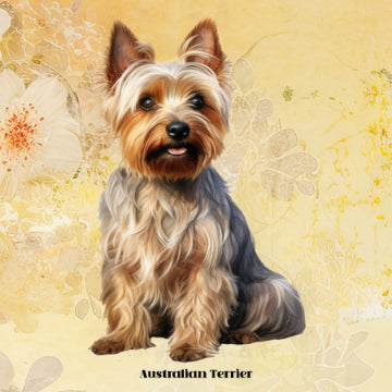 Australian Terrier Poster Print