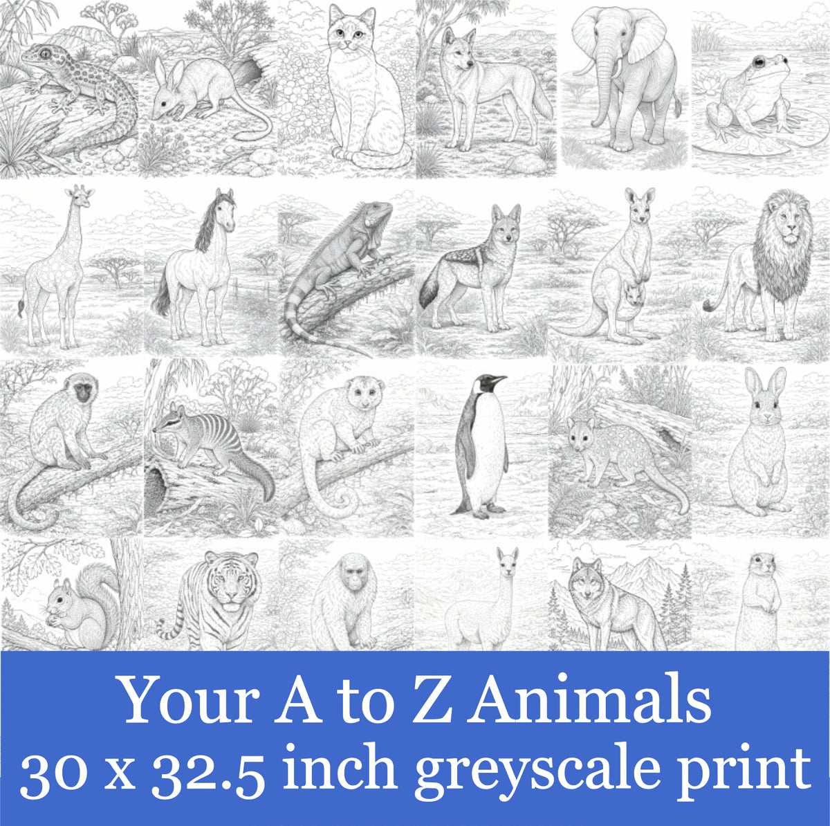Your A to Z Animals 30 x 32.5-inch Black and White Poster/Print