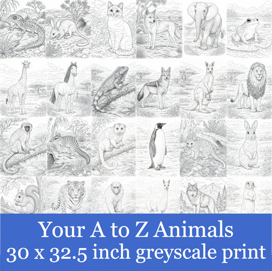 Your A to Z Animals 30 x 32.5-inch Black and White Poster/Print