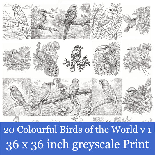 Your 20 Colourful Birds of the World v 1 Wall Art Greyscale Print-36x36x300