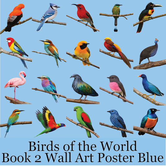 Your 20 Colourful Birds of the World v.2 36x36x300 Colour Print Blue Background