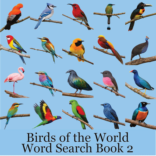 Your 20 Colourful Birds of the World Word Search Puzzle Book– Volume 2