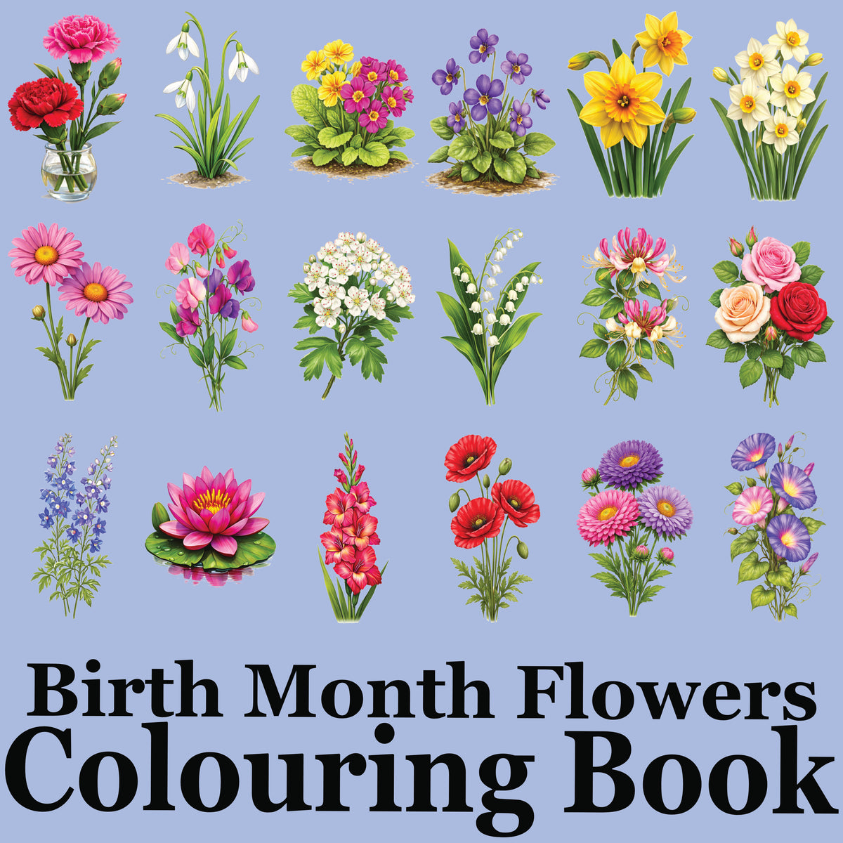Your Birth Month Flowers Colouring Book