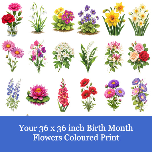Your Birth Months Flowers Colour Print White Background-3x36x300