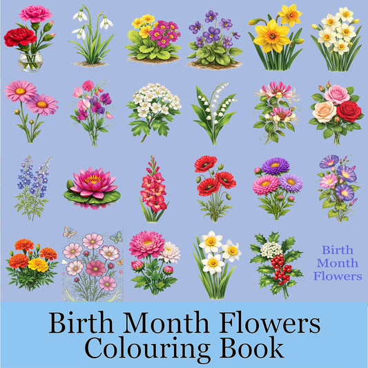 Your Birth Month Flowers Colouring Book