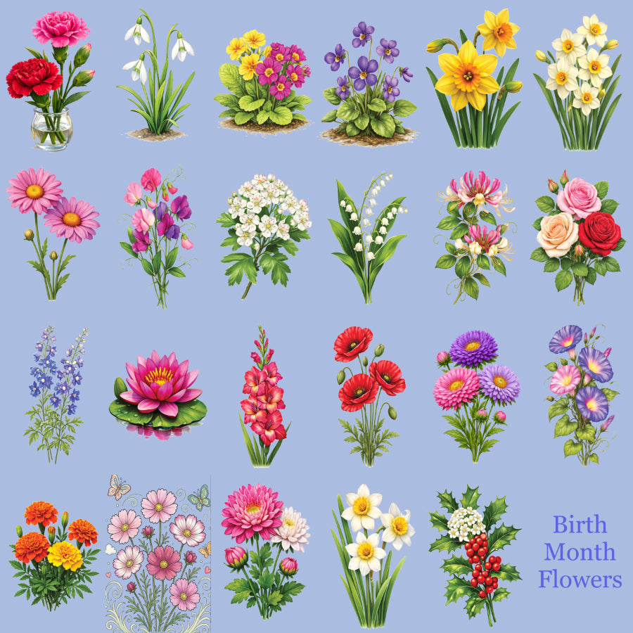 Your Birth Month Flowers Colouring Book