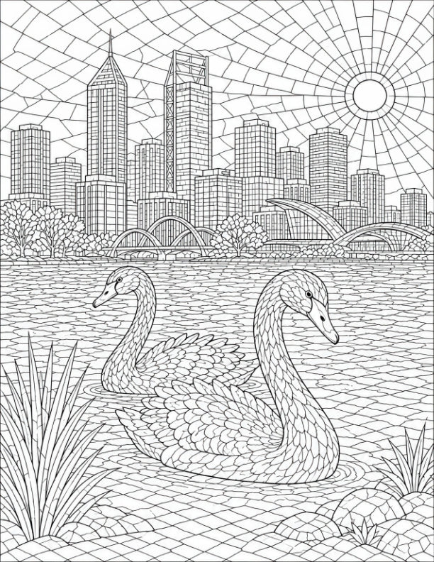 Black Swans-8.5x11x300