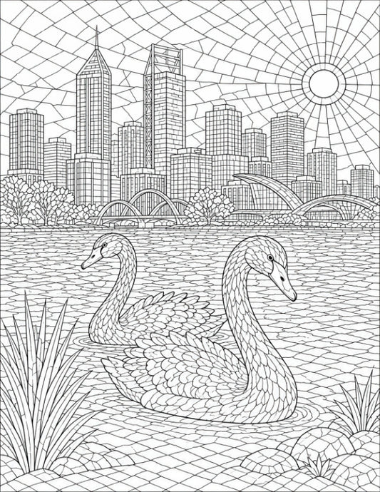 Black Swans-8.5x11x300
