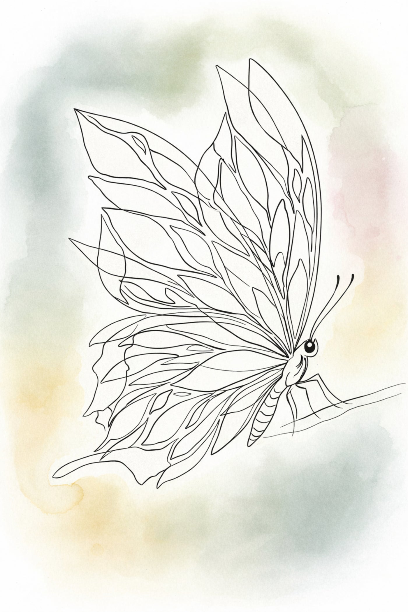 Butterfly-14x21x300