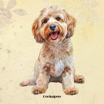 Cockapoo Poster Print