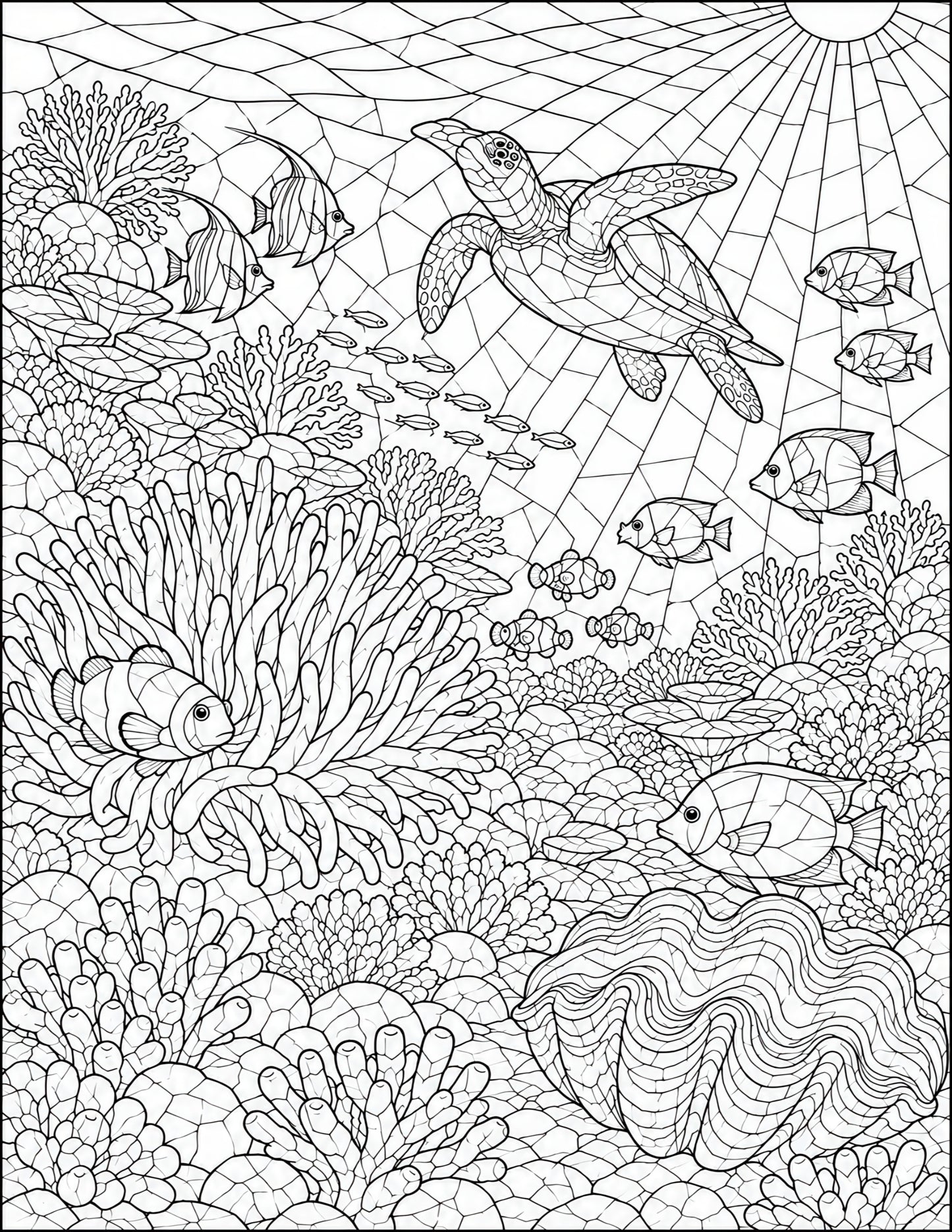 Coral Reef-8.5x11x300