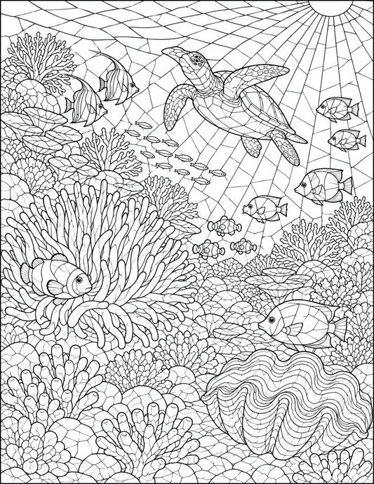 Coral Reef-8.5x11x300