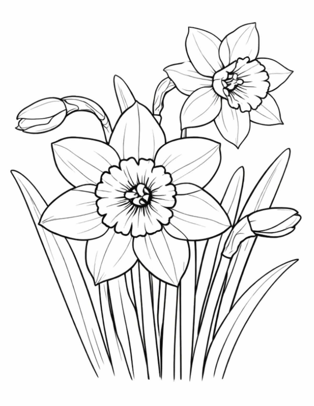 Your Pawpaw Printz Birth Month  Flower Colouring Book Digital