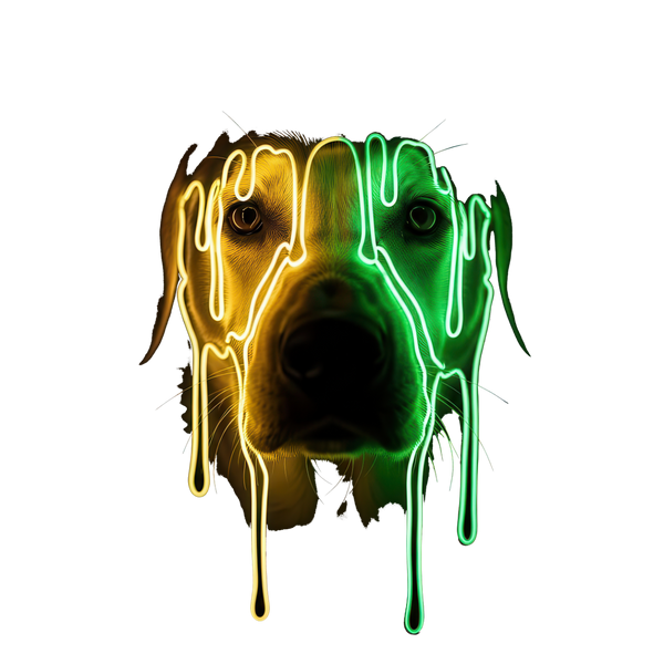 Dripping Neon Unisex t-shirt