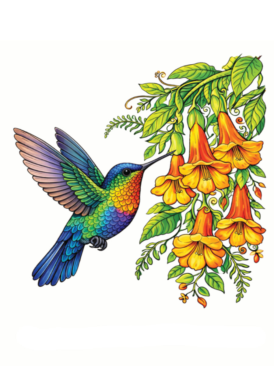 Your 20 Colourful Birds of the World Colouring Book Volume 1