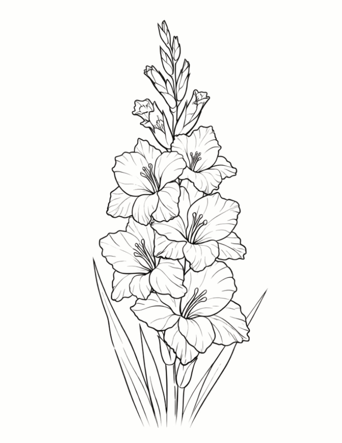 Your Pawpaw Printz Birth Month  Flower Colouring Book Digital