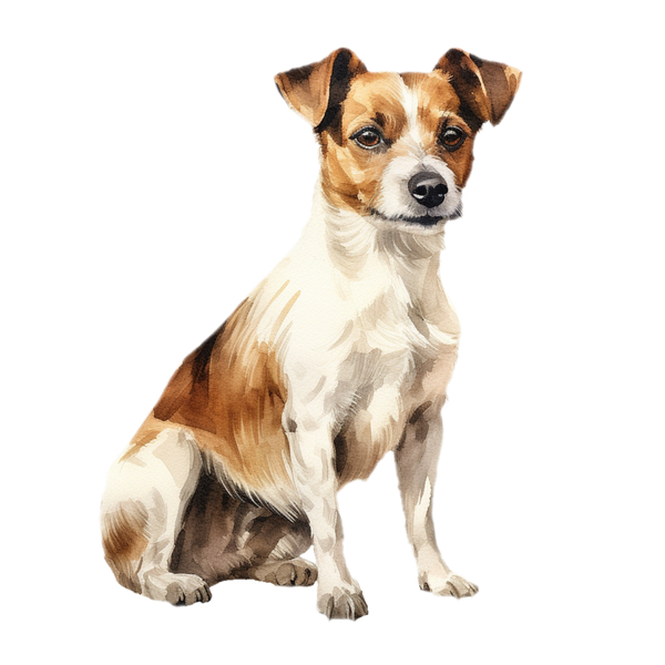 Jack Russell white glossy mug