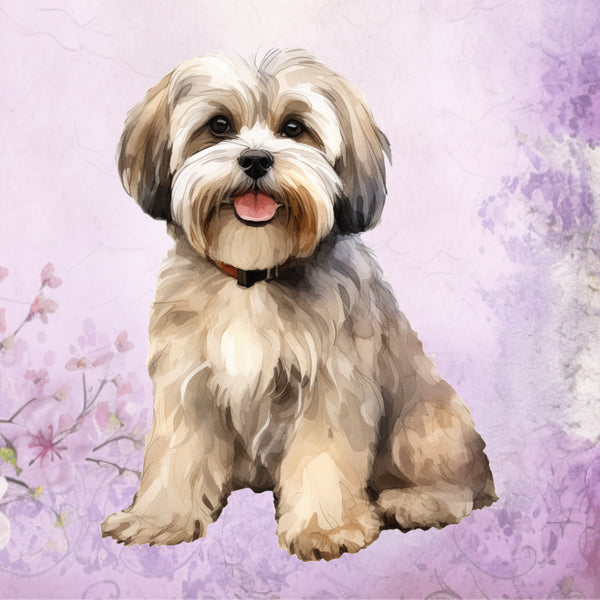 Lhasa Aspo Poster Print