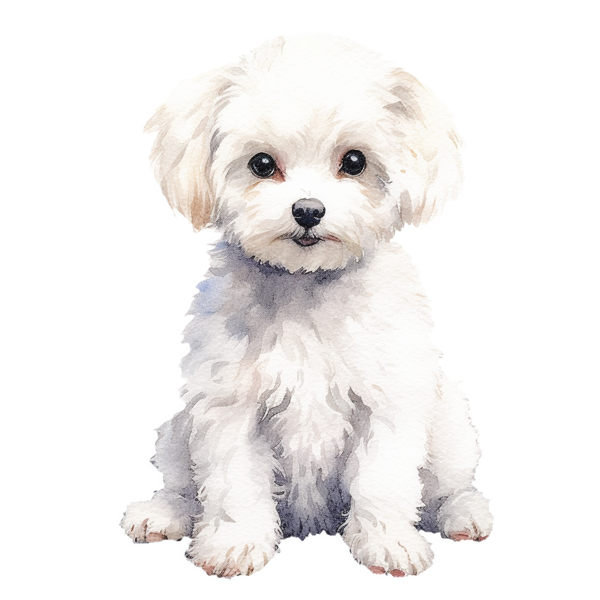 Maltese Eco Tote Bag