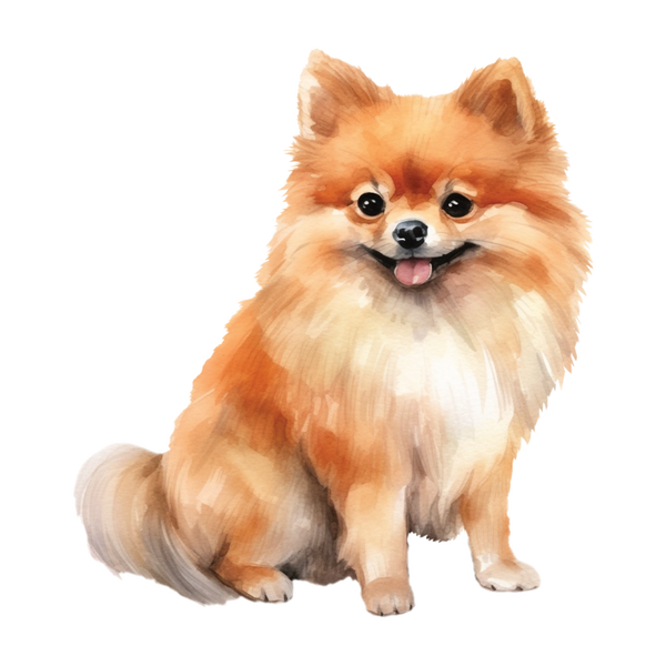 Pomeranian Eco Tote Bag