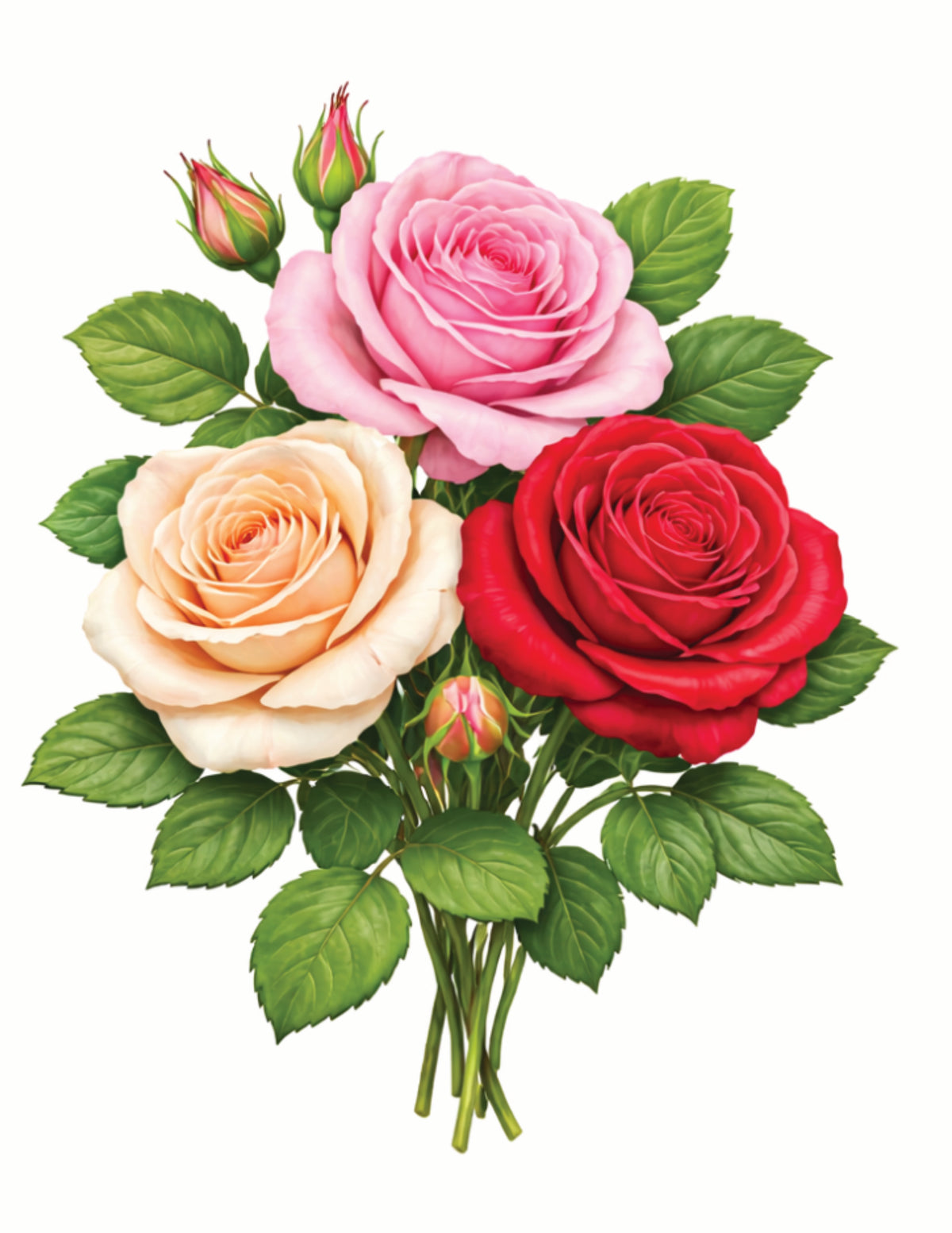 Your Birth Month Flowers Colouring Book