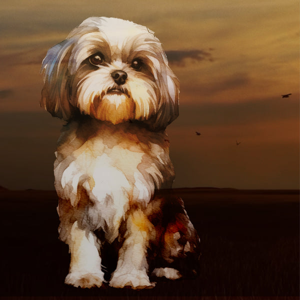 Shih Tzu Overlay Poster Print