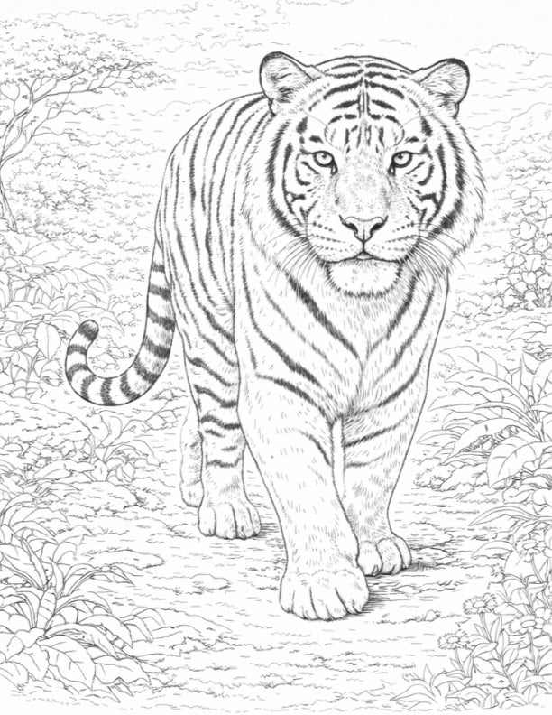 Your A to Z Animals Colouring Book