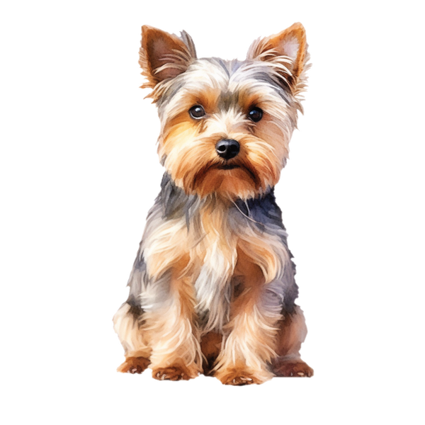 Yorkshire Terrier white glossy mug